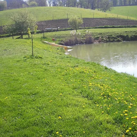 Rybnik Prokop Korycany
